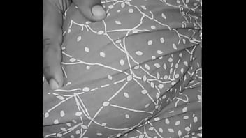 Wow update #163 2025 03 06t17 19 13 000z