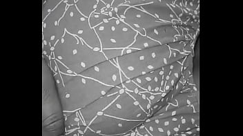 Wow update #163 2025 03 06t17 19 13 000z