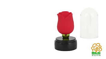 W機構で好みの刺激を好きなだけ楽しめちゃう、優秀ローター