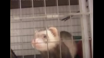 Delicious danielle enjoys a worthy sex