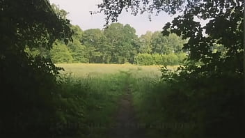 Te necesito pine grove