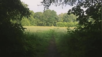 Te necesito pine grove