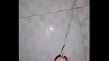 Chim đi Tè thumbnail