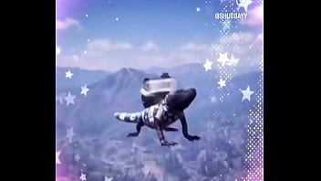 Vídeo de verificación