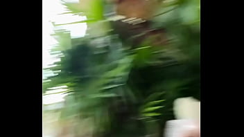 Good morning from paradise ️