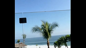 Good morning from paradise ️