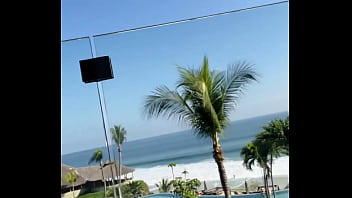 Good morning from paradise ️