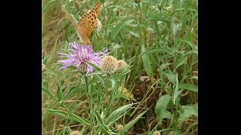 Lady alice 9 16 09 part 3 bride diaries full hd 60fps