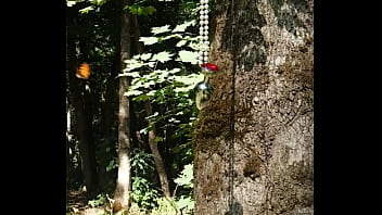 Lady alice 9 16 09 part 3 bride diaries full hd 60fps