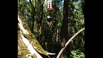 Lady alice 9 16 09 part 3 bride diaries full hd 60fps