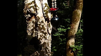 Lady alice 9 16 09 part 3 bride diaries full hd 60fps