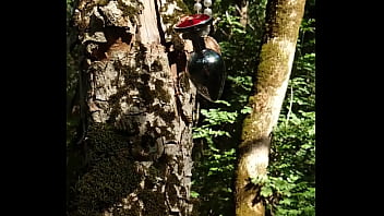 Lady Alice 9 16 09 Part 3 Bride Diaries Full Hd 60fps thumbnail