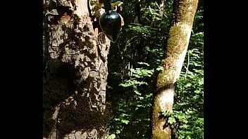 Lady alice 9 16 09 part 3 bride diaries full hd 60fps