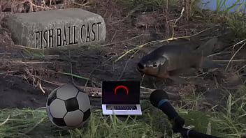 Membros do jogandofoddaci tomando esporrada