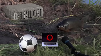 Membros do jogandofoddaci tomando esporrada