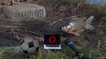 Membros do jogandofoddaci tomando esporrada