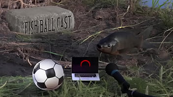 Membros do jogandofoddaci tomando esporrada