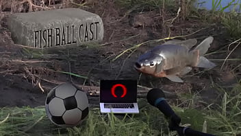 Membros do jogandofoddaci tomando esporrada