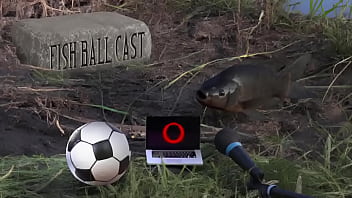 Membros do jogandofoddaci tomando esporrada