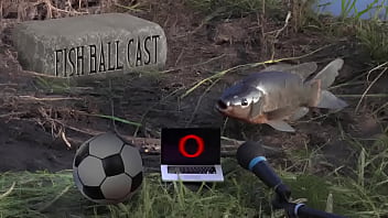 Membros do jogandofoddaci tomando esporrada