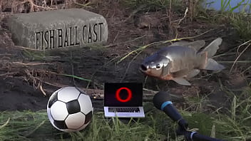 Membros do jogandofoddaci tomando esporrada