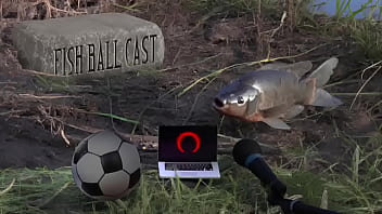 Membros do jogandofoddaci tomando esporrada