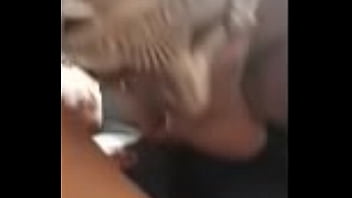 Masquerade masks and blowing