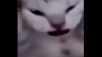 Primeiro video do canal shitpost