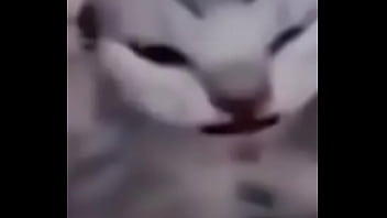 Primeiro video do canal shitpost