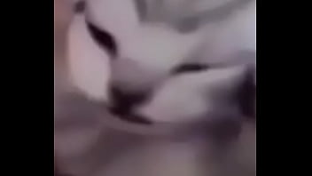 Primeiro video do canal shitpost