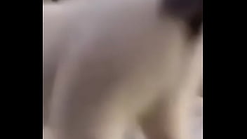 Primeiro video do canal shitpost