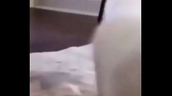 Primeiro video do canal shitpost