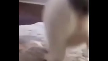 Primeiro video do canal shitpost