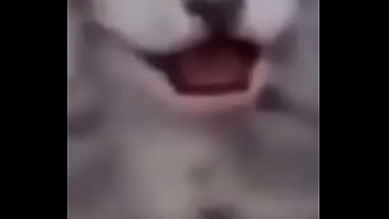 Primeiro video do canal shitpost