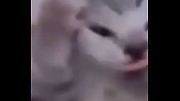 Primeiro video do canal shitpost