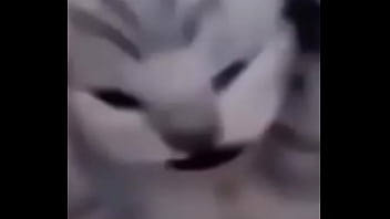 Primeiro video do canal shitpost