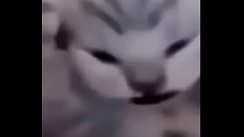 Primeiro video do canal shitpost