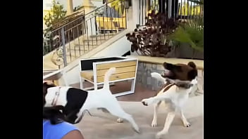 Looking for girls to shoot halloween stuff at this house friday night my friend is leaving the country for a month and