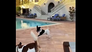 Looking for girls to shoot halloween stuff at this house friday night my friend is leaving the country for a month and