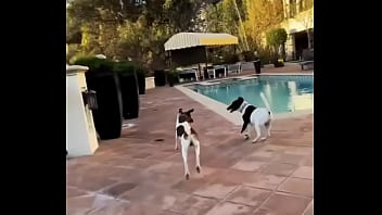 Looking for girls to shoot halloween stuff at this house friday night my friend is leaving the country for a month and