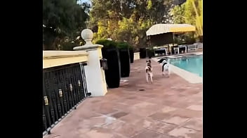 Looking for girls to shoot halloween stuff at this house friday night my friend is leaving the country for a month and