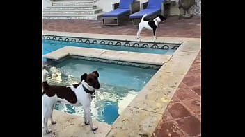 Looking for girls to shoot halloween stuff at this house friday night my friend is leaving the country for a month and