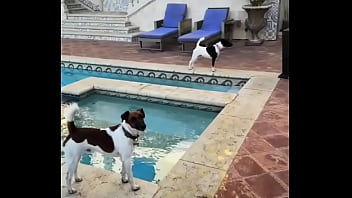 Looking for girls to shoot halloween stuff at this house friday night my friend is leaving the country for a month and