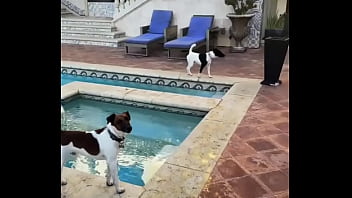 Looking for girls to shoot halloween stuff at this house friday night my friend is leaving the country for a month and