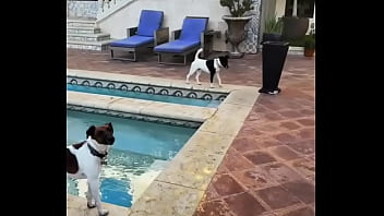 Looking for girls to shoot halloween stuff at this house friday night my friend is leaving the country for a month and