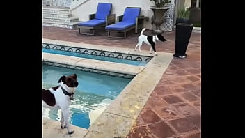 Looking for girls to shoot halloween stuff at this house friday night my friend is leaving the country for a month and