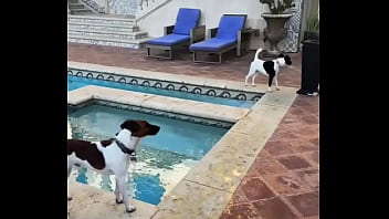 Looking for girls to shoot halloween stuff at this house friday night my friend is leaving the country for a month and