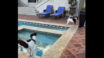 Looking for girls to shoot halloween stuff at this house friday night my friend is leaving the country for a month and