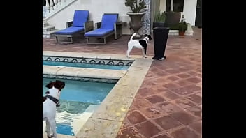 Looking for girls to shoot halloween stuff at this house friday night my friend is leaving the country for a month and