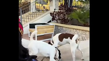 Looking for girls to shoot halloween stuff at this house friday night my friend is leaving the country for a month and